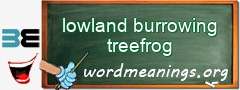 WordMeaning blackboard for lowland burrowing treefrog